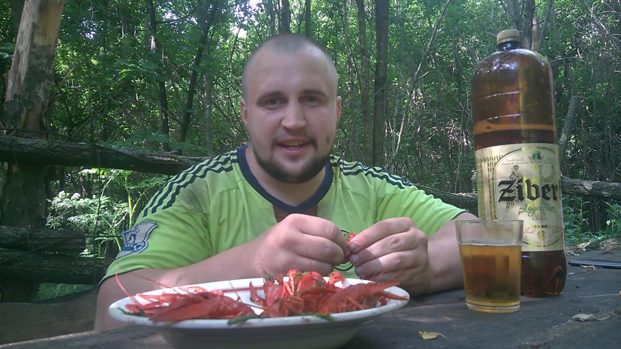 Пиво zibert и раки