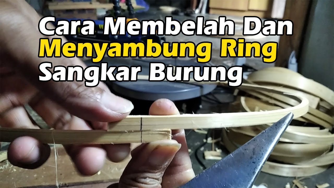 Cara Membelah Dan Menyambung Ring / LIngkaran Sangkar Burung