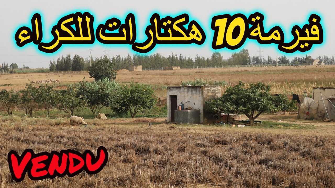 فيرمة 10 هكتارات مجهزة بالكامل للكراء