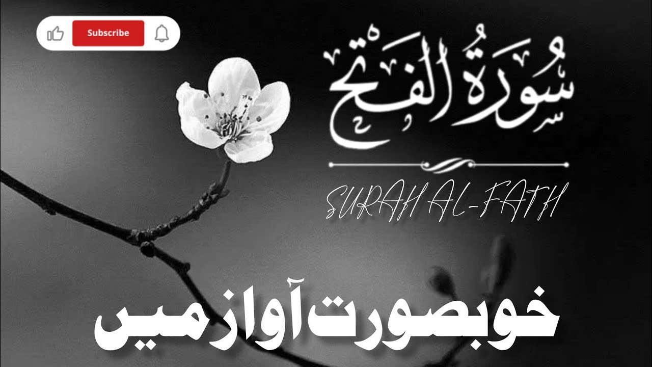 Surah Al-Fath | Beautiful Quran Recitation | Peaceful Tilawat #quranrecitation #youtube 