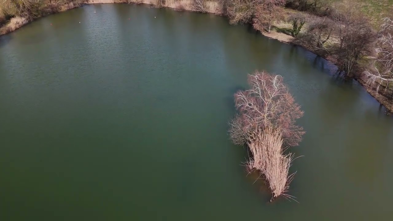 La capture de canards en drone 🤭