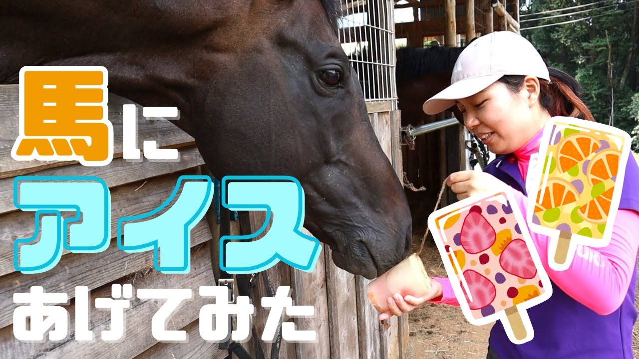 馬たちにアイスを作ってあげてみた！～Yuri's Kitchen～