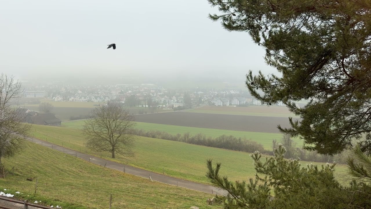 Behind the Window – Foggy Afternoon Stillness | Switzerland