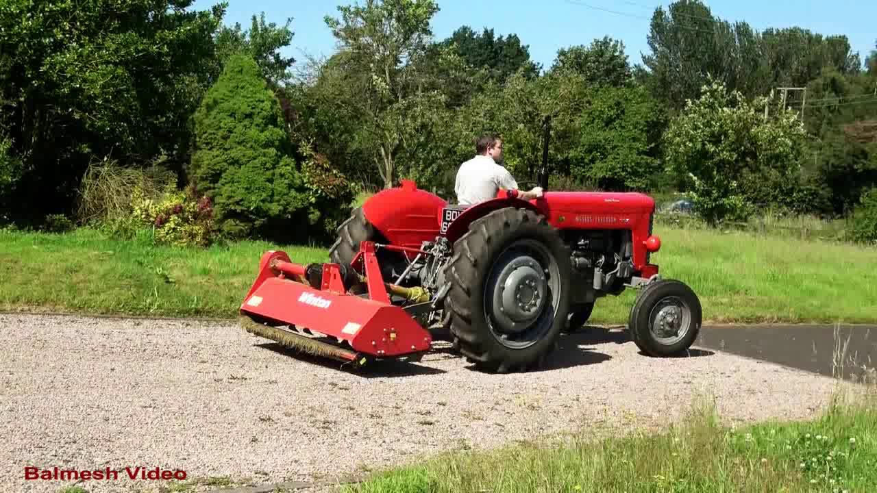 Vintage MF 65 Mows the Hairy Home Field.