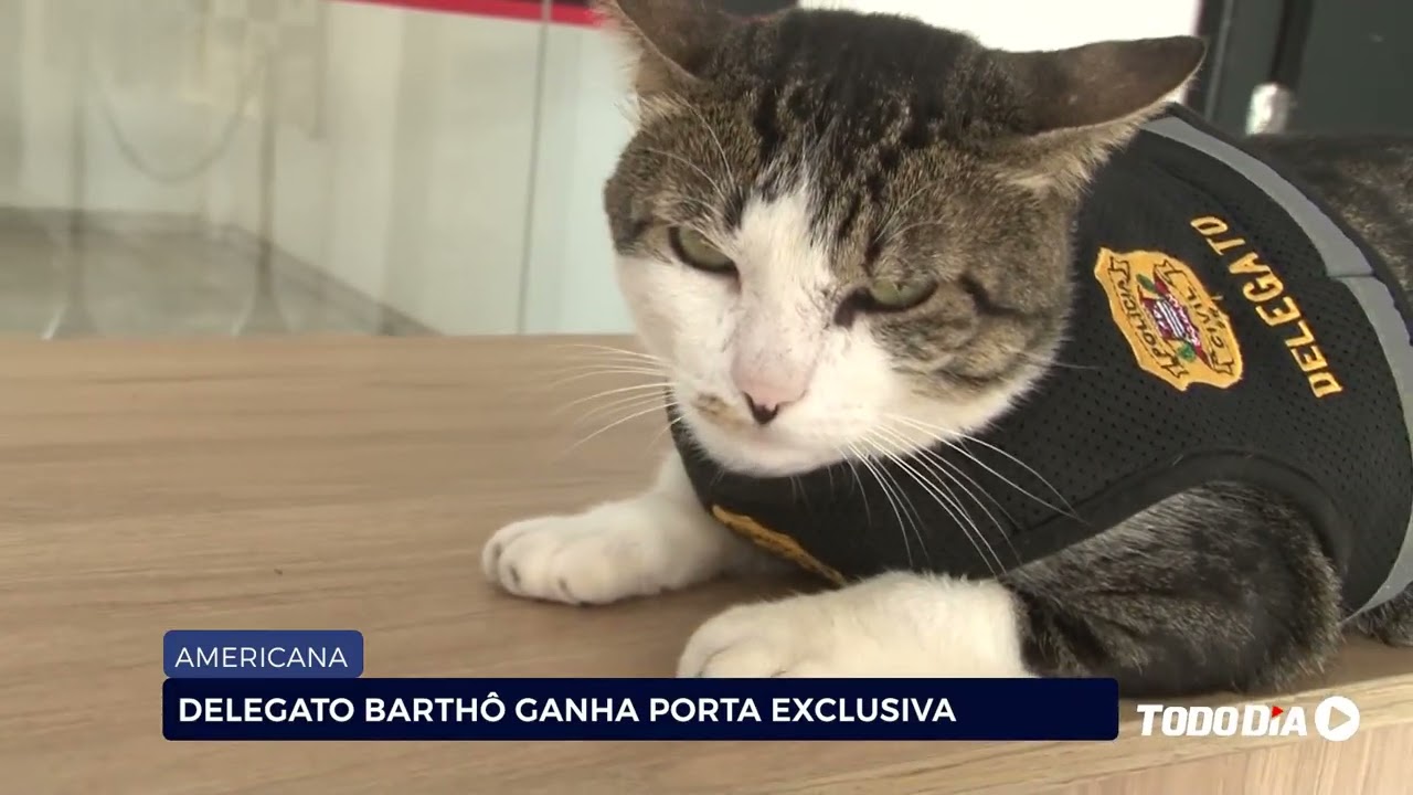 AMERICANA: DELEGATO BARTHÔ GANHA PORTA EXCLUSIVA