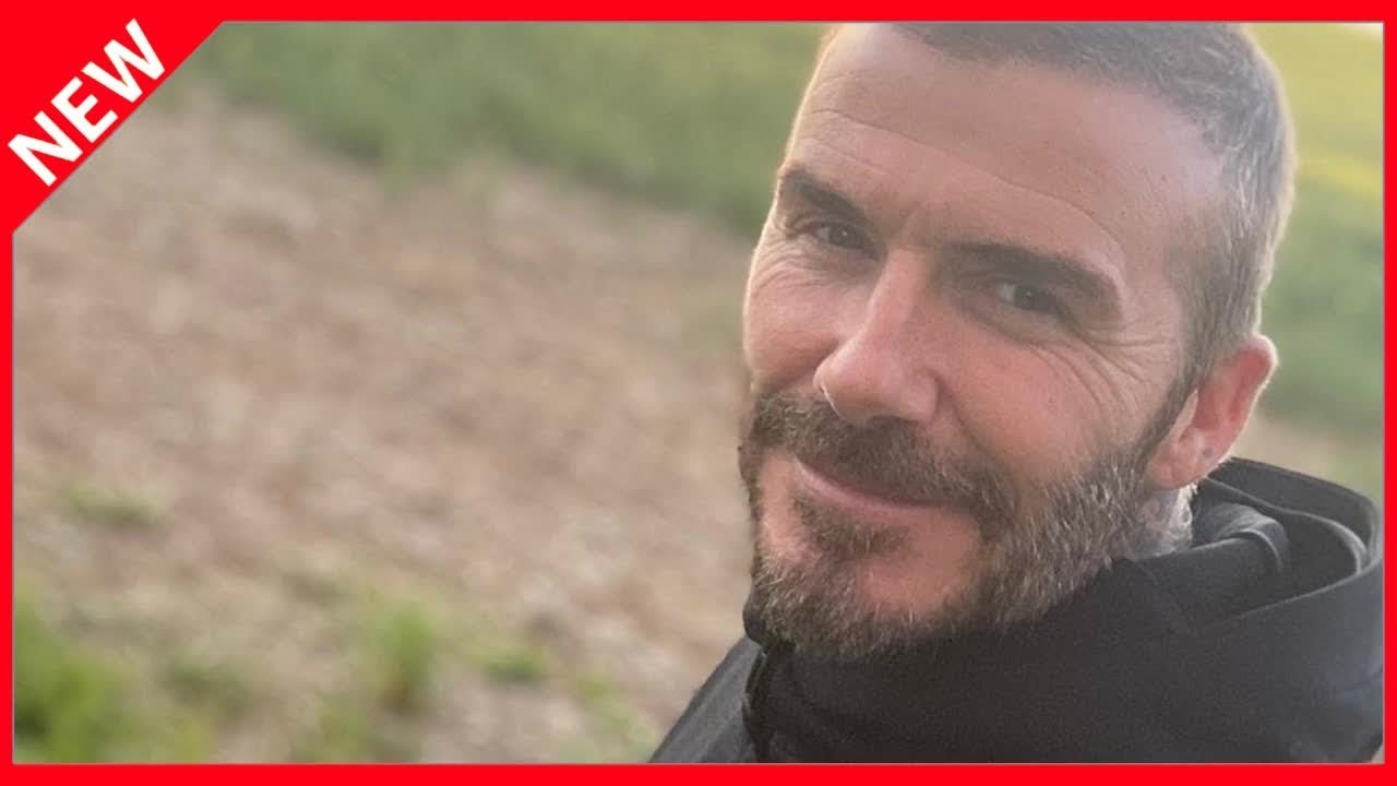 F&uuml;r 450 Euro: David Beckham kauft teures Obst und Gem&uuml;se ein