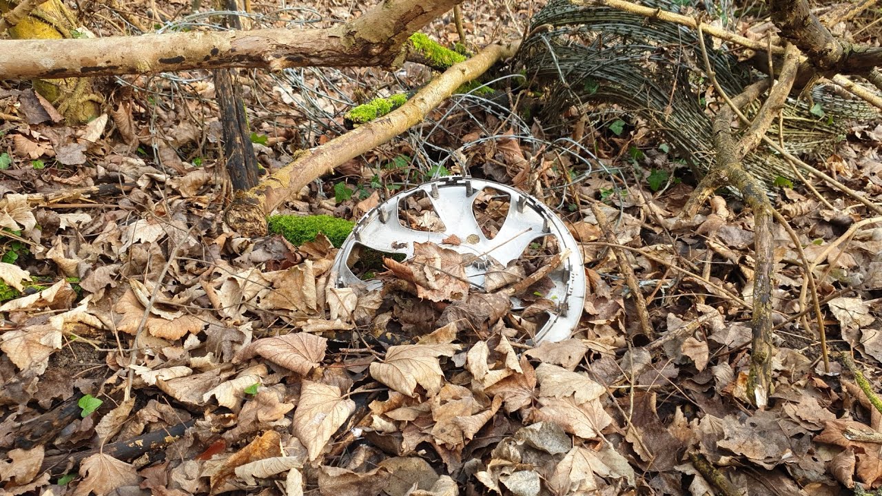 Dacia Sandero Hubcap Find
