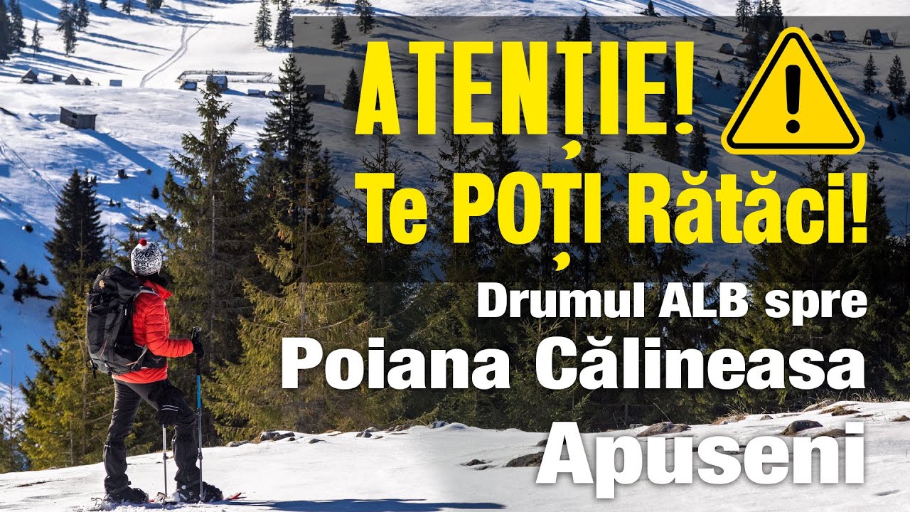 Atentie! Te poti rataci! Drumul alb spre Poiana Calineasa, resedinta de vara a motilor din Apuseni