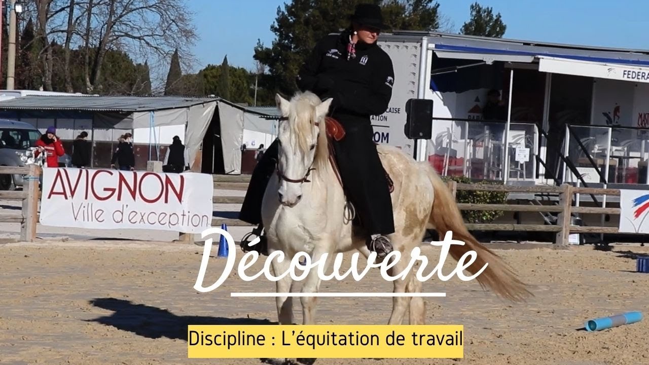 [DECOUVERTE]L'équitation de travail