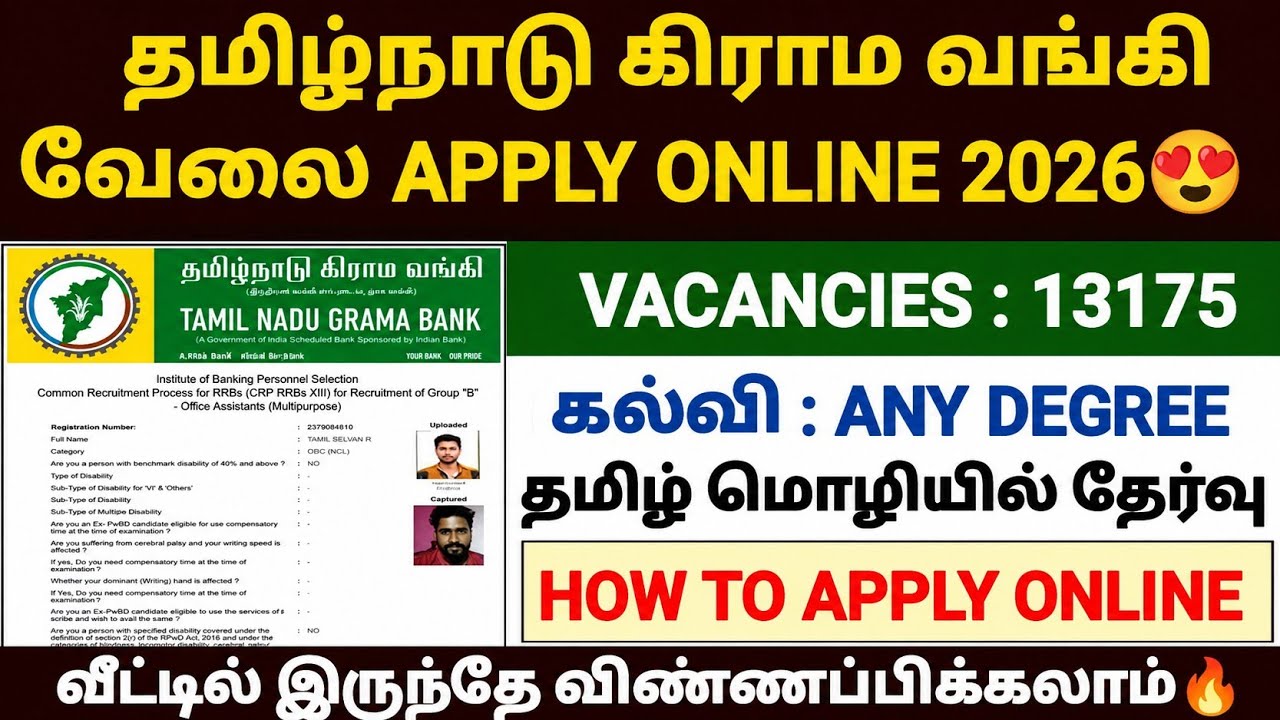 tamilnadu grama bank apply online 2026 |ibps rrb apply online 2026 |how to apply ibps rrb 2026 tamil