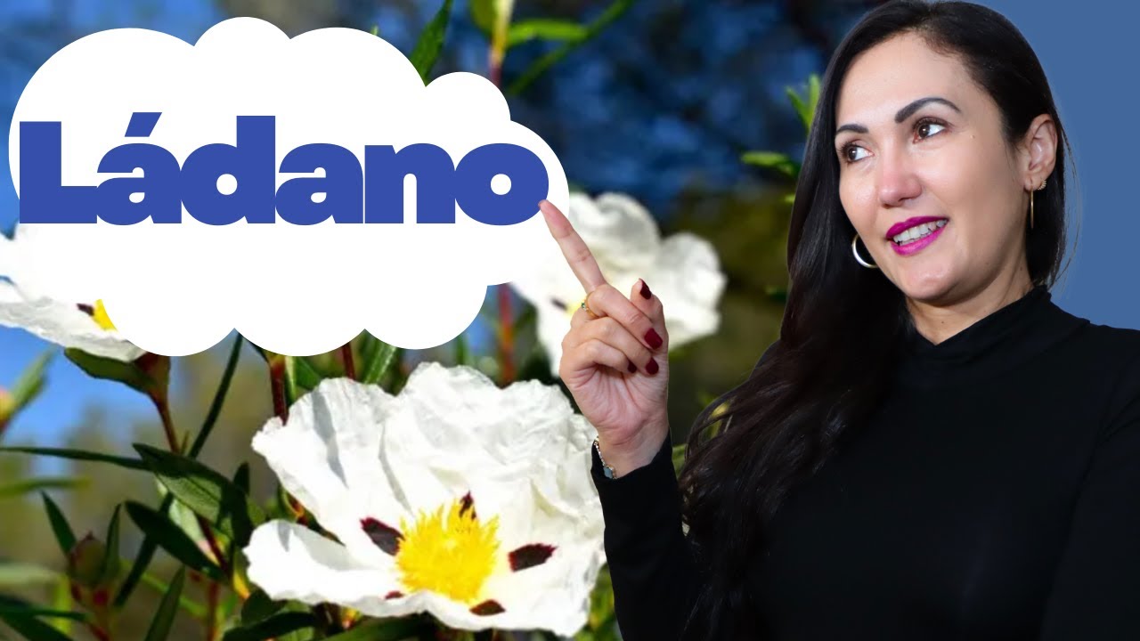 LADANO Una nota que aporta Profundidad, Sensualidad y Duración a los Perfumes