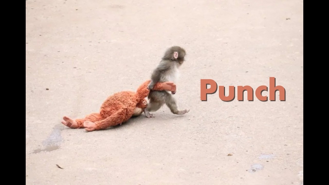 Punch Monkey