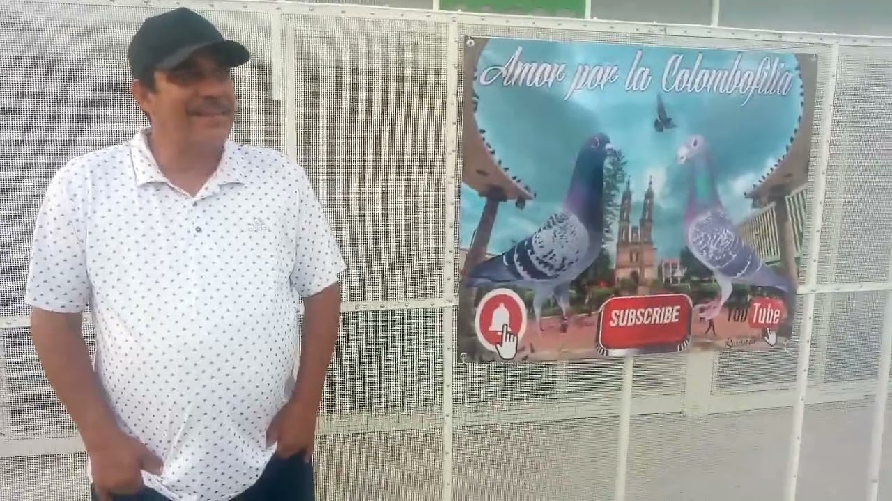 JOSE GÓMEZ (PEPE LOCO), CAMPEON DEL 1ER LUGAR DE 500KM Y CAMPEON DE PALOMA AS RUTA PICHONES 2021.