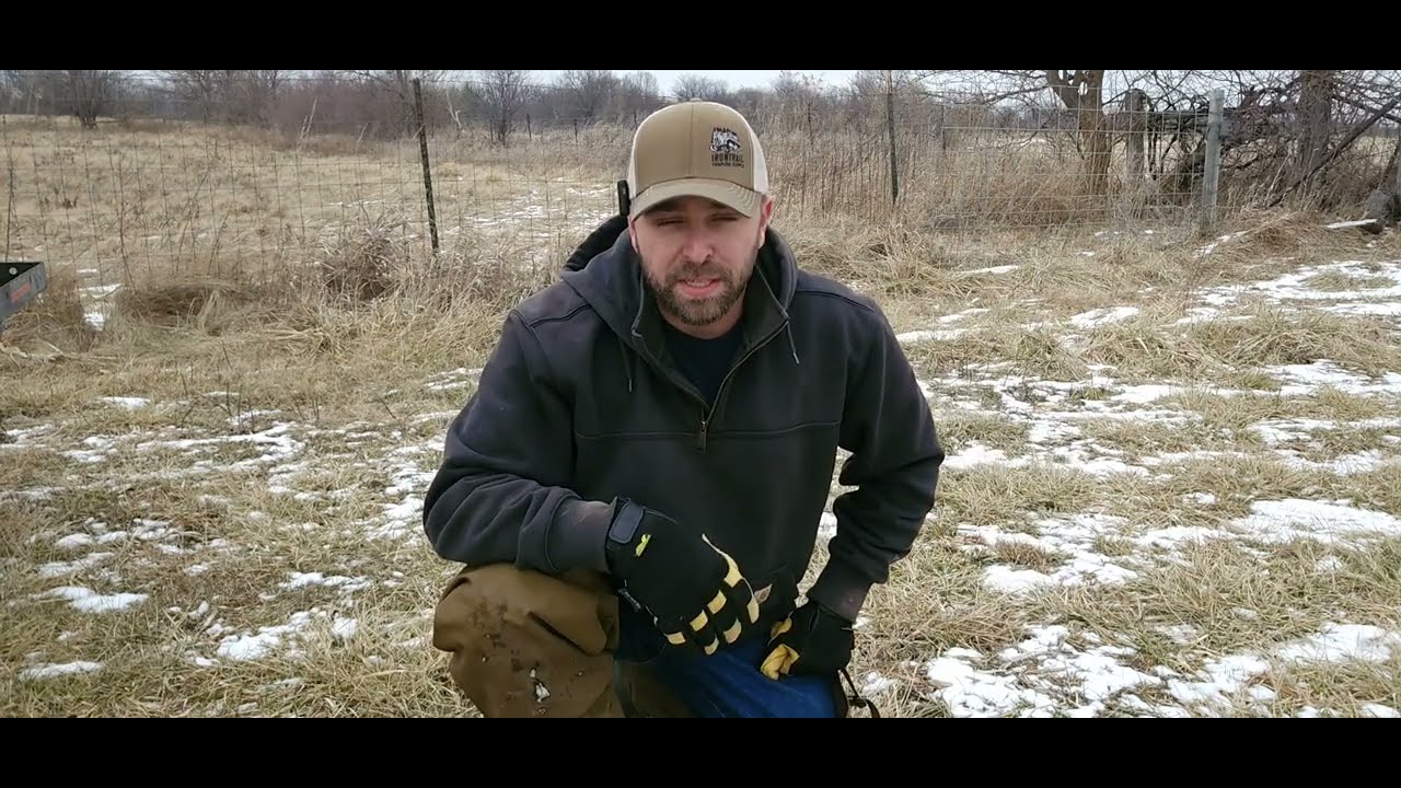 Freeze Proof Trap Bedding In Coal Shale.  How to keep your coyote traps working.