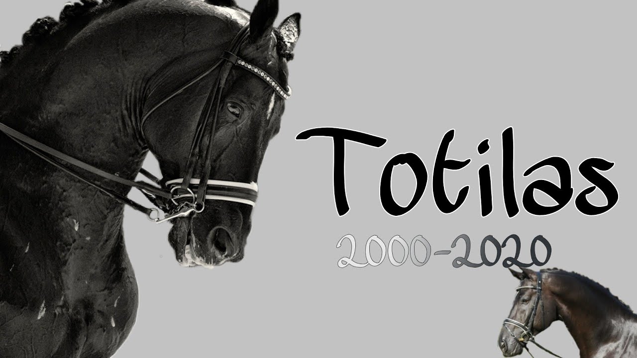 Totilas das Wunder Pferd 🕊RIP🕊