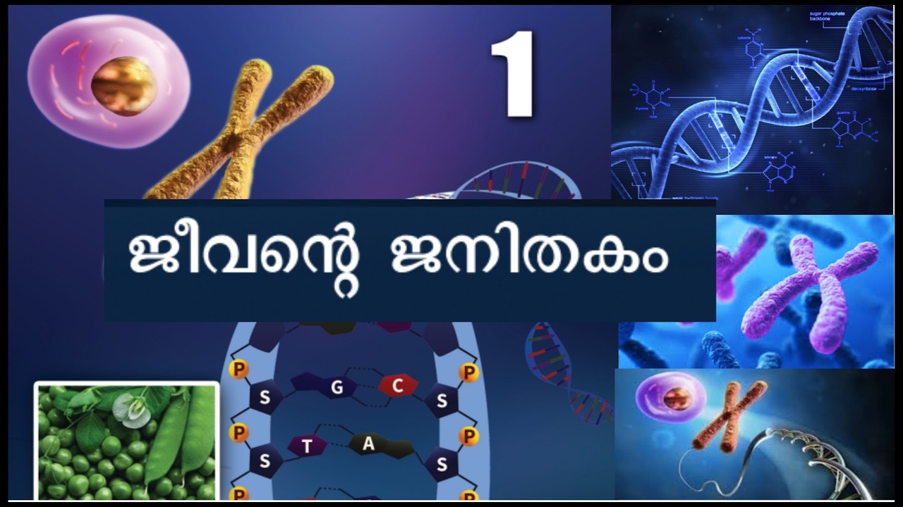 ജീവന്റെ ജനിതകം SSLC biology  chapter 1 newtextbook class10  Part 1  DNA യുടെ ഘടന