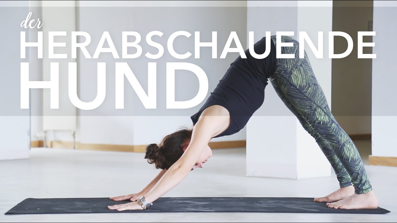 Yoga Herabschauender Hund für Anfänger | Adho Mukha Svanasana | Asana lernen
