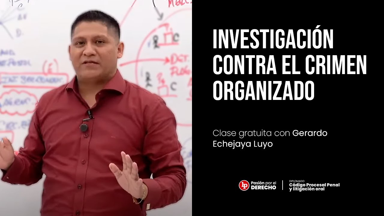 Técnicas especiales de investigación contra el crimen organizado, por Gerardo Echejaya l LP