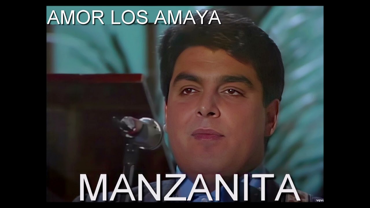 MANZANITA IA AMOR LOS AMAYA