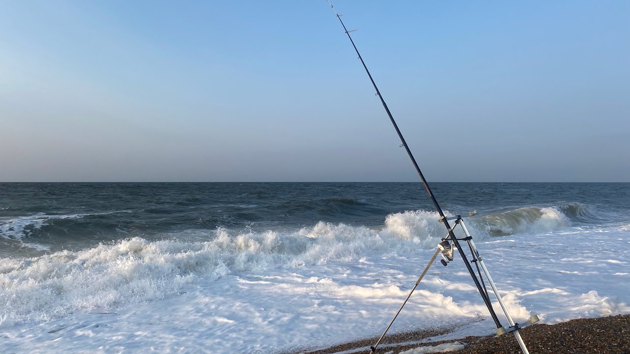 Match practice, Mike Watts and lots of fish.