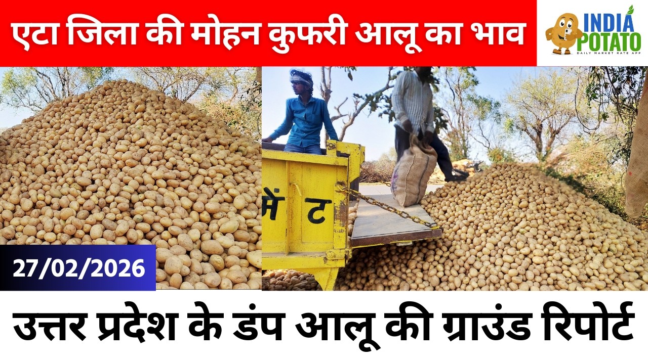 27/02/2026 : एटा जिला की मोहन कुफरी आलू का भाव | उत्तर प्रदेश के डंप आलू की रिपोर्ट - India Potato