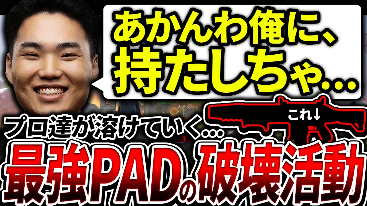【強すぎ...】アプデ後ゆらりまん、ヘムロックの登場で暴力的な強さ！プロも薙ぎ倒す圧倒的なフィジカル【APEX エーペックスレジェンズ】