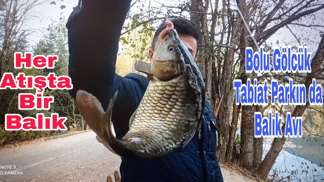 BOLU GÖLCÜK TABİAT PARKINDA BALIK AVI