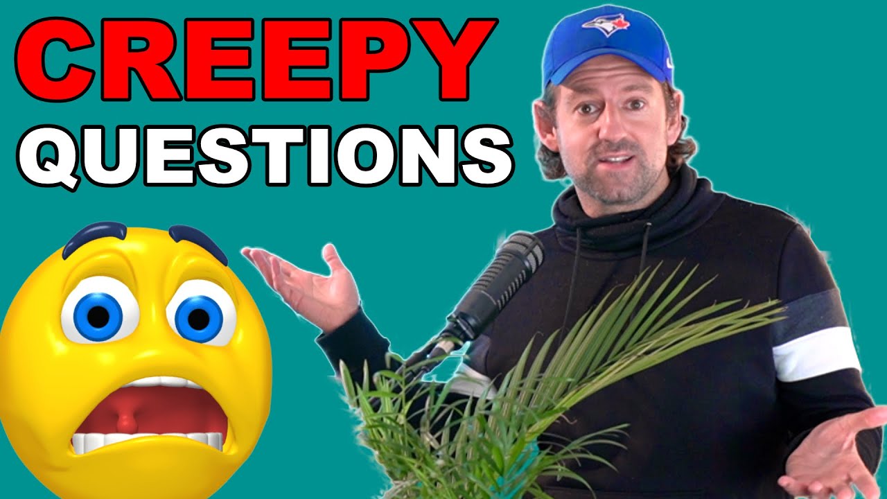 How to Ask Questions in English without Being Creepy