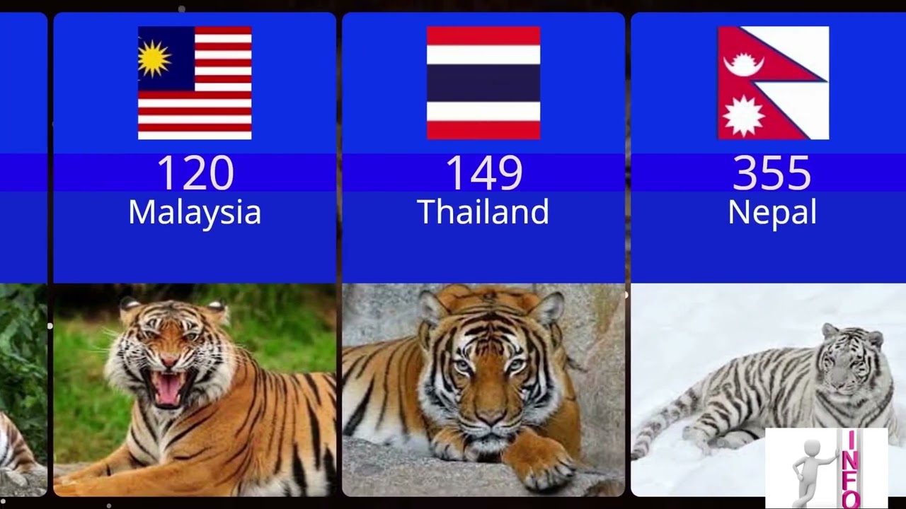 Number of TIGERS by Country