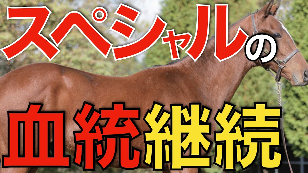 スペシャルウィークの血は続く！サイアーラインが意外な国で継続へ。