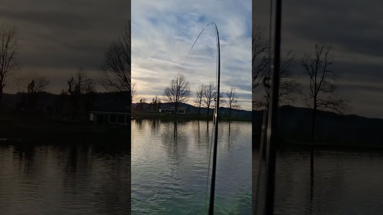 #pescaamosca