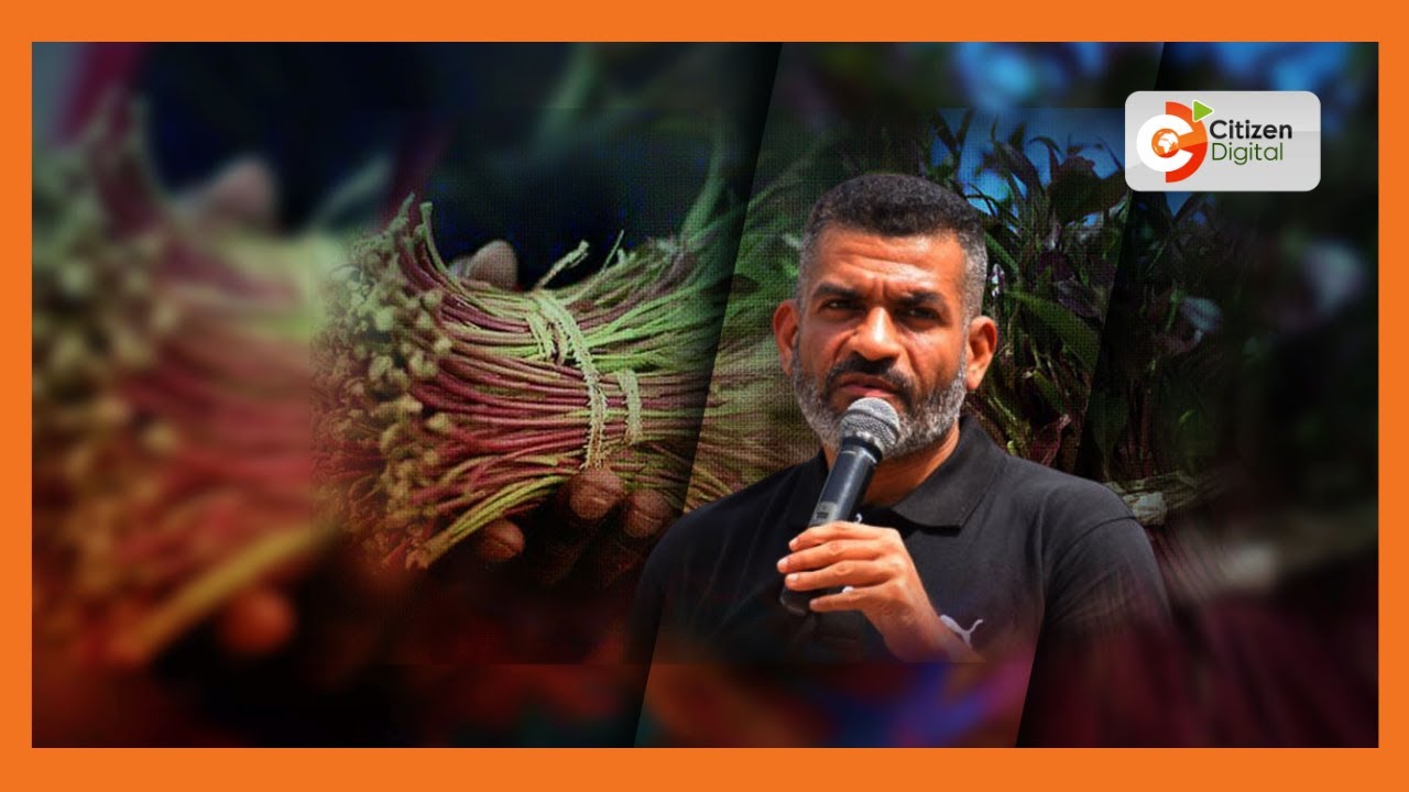 Mashirika yataka kaunti zote kupiga marufuku Muguka