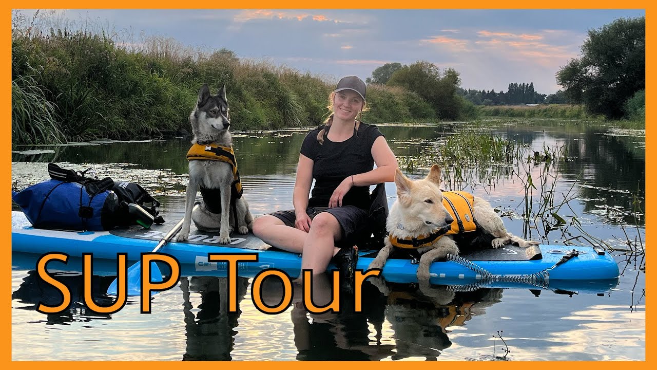 Mit Hunden die erste Stand UP Paddle Tour | Machen die Hunde das mit ?! | Outdoor Anca