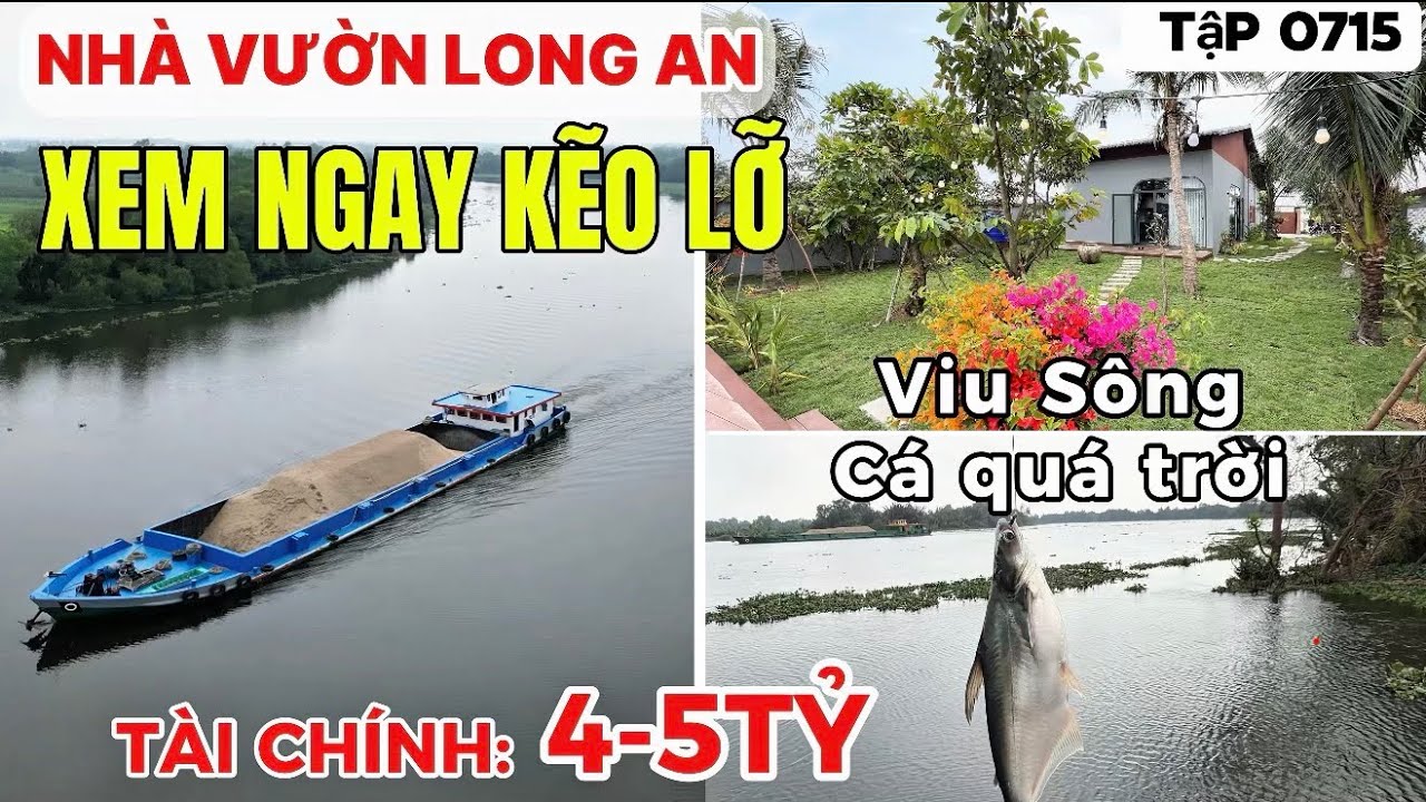 Tập 0715 Hàng Hiếm, Nhà Vườn Long An viu Sông lớn, xem ngay kẽo lỡ | Nhà vườn 365