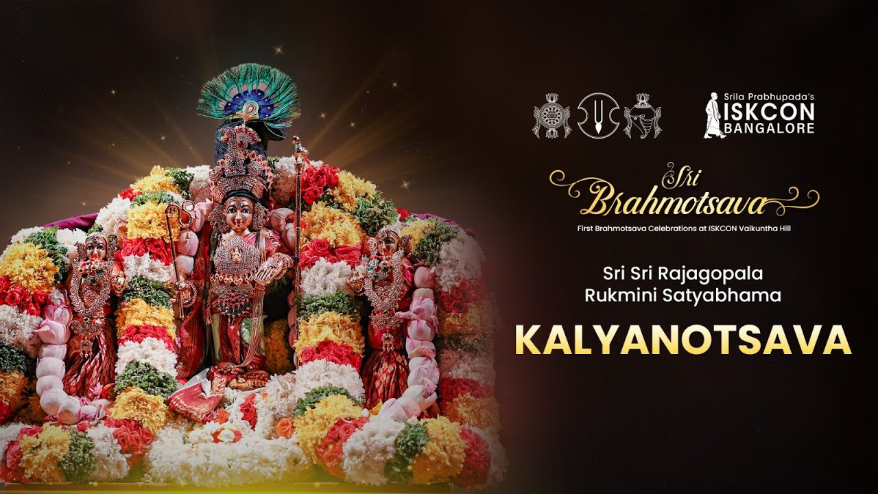 Sri Sri Rajagopala Rukmini Satyabhama Kalyanotsava | ISKCON Vaikuntha Hill | Sri Brahmotsava 2023