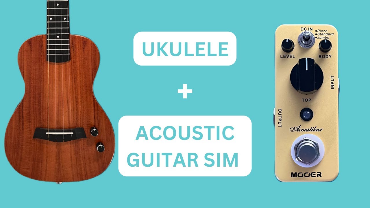 Snail SEU-1T + Acoustikar Acoustic Guitar Simulator Pedal