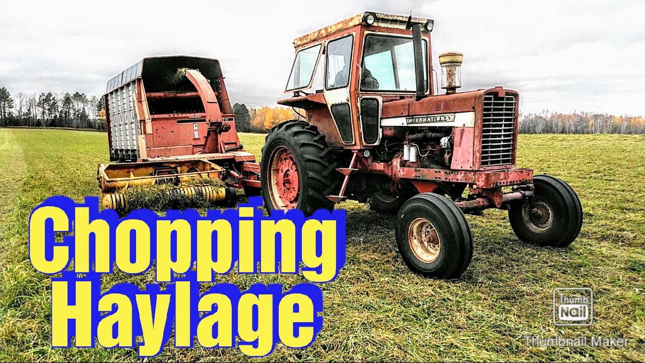 Chopping Haylage 2020/ Filling our 2nd Ag Bag