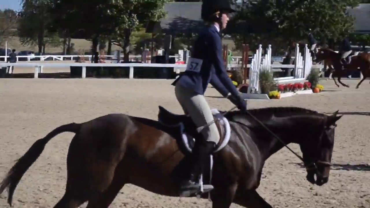ADOPTED Brewer at the Thoroughbred Makeover - Hunter Hack