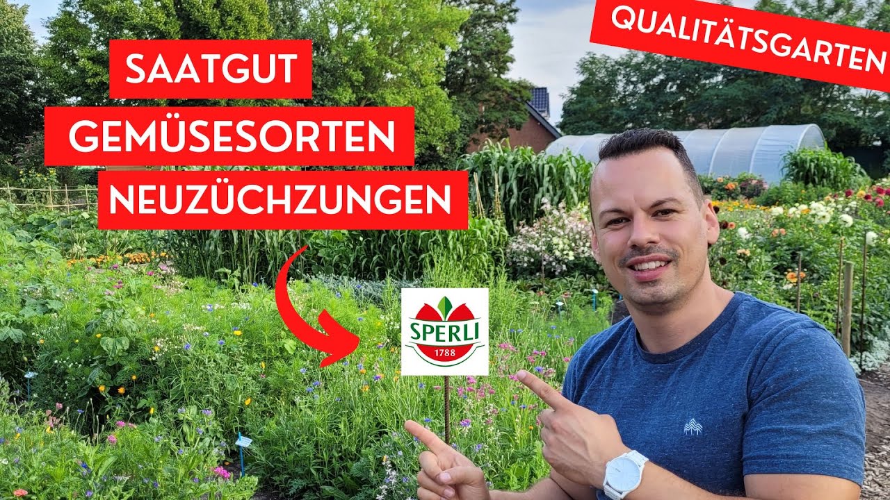 Neue Tomatensorten, Gurken Tipps, Gemüsegarten Tour  - Zu besuch in Sperlis Qualitätsgarten