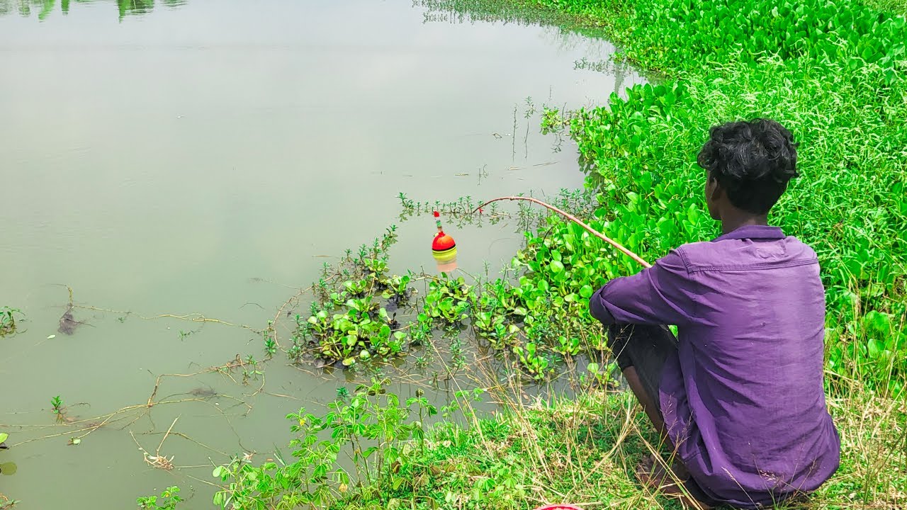 Village Little boy hook fishing in rainy season water | traditional catching catfish hunting by hook