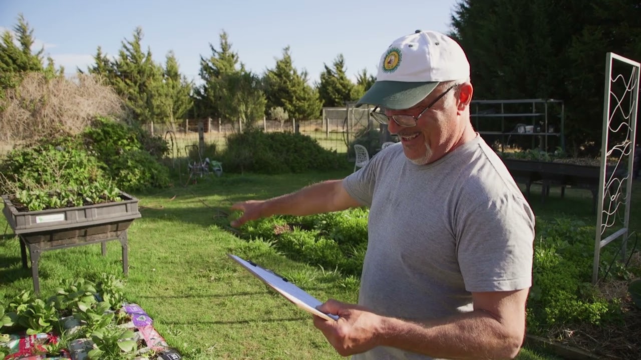 End Of The Potting Mix Trial - Brix Test Results