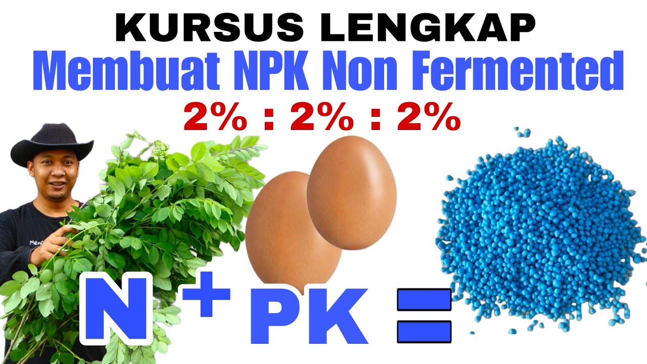 NPK Biru Organik dalam 24 Jam Saja, Siapkan Rp.5,000 untuk Membuatnya !!!
