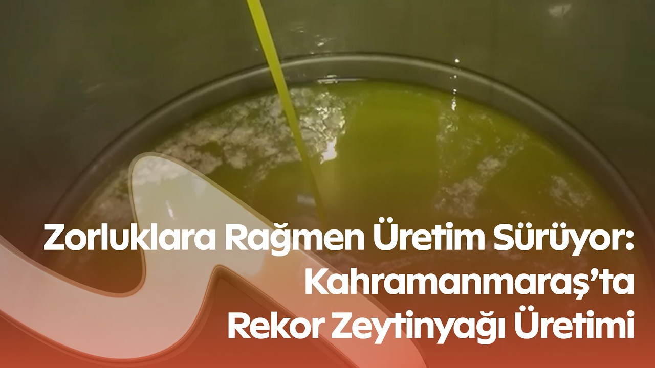 Deprem Sonrası Umut Yeşerdi: Kahramanmaraş’ta 5 Bin Ton Sızma Zeytinyağı