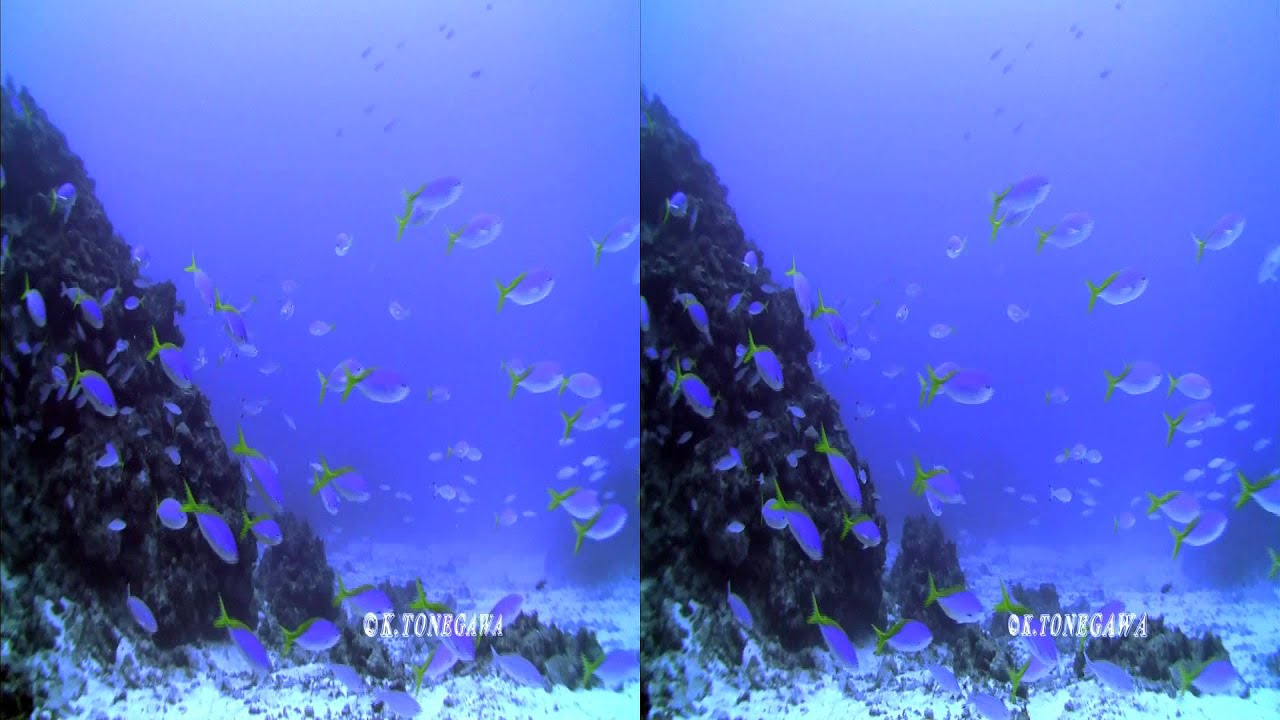 yt3d underwater okinawa 004