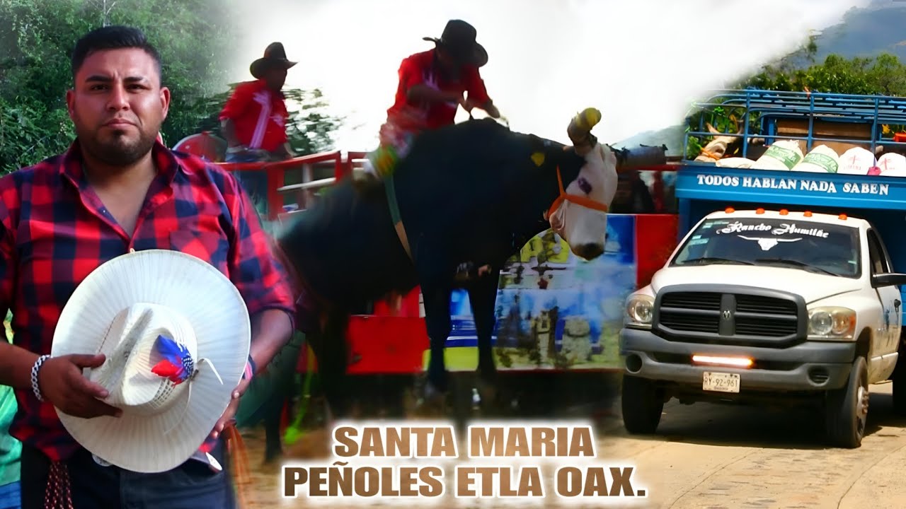 !!PLAZA LLENA CON ESTA GANADERIA LLEGARON LOS INGOBERNABLES A SANTA MARIA PEÑOLES ETLA OAX.. OJO!!