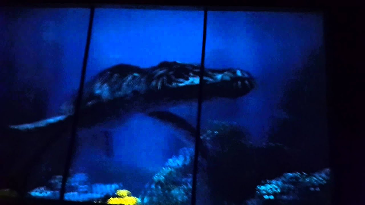 Oceanarium Dubai Global Village 29.1.2015