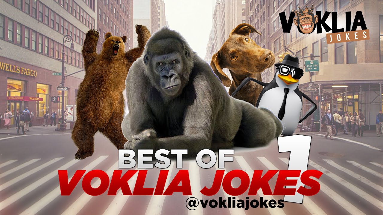 BEST OF VOKLIA JOKES 1