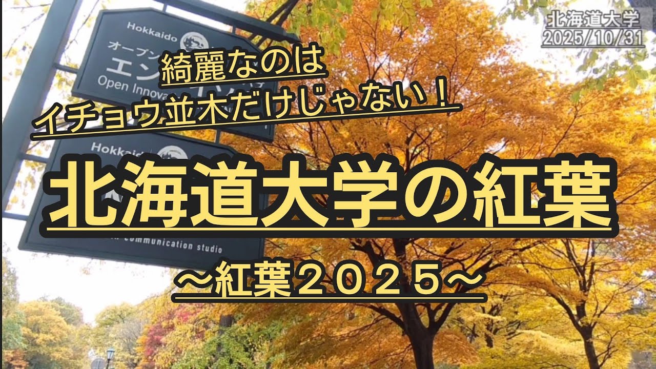 【紅葉２０２５】北海道大学