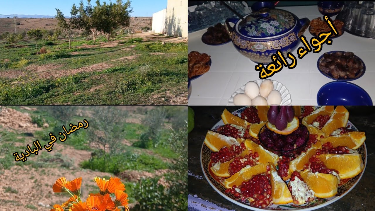 VLOG8/أجواء رمضان فالبادية مع العائلة | سكينة وبساطة🍀🍽❤️