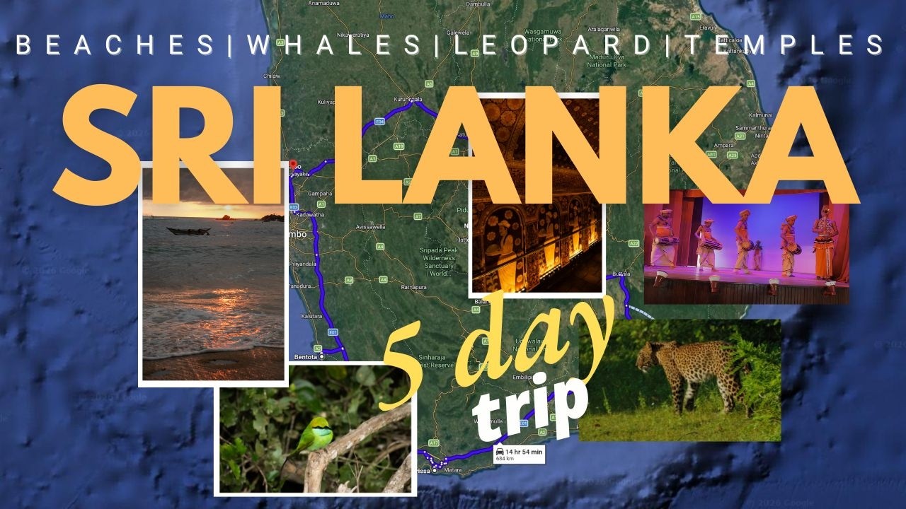 Srilanka - Turtles | Whales | Leopards | Buddha